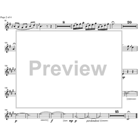 Argentinian Rhapsody - Clarinet in B-flat