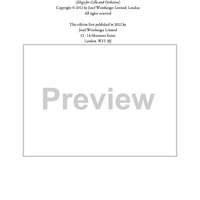 The Loneliest Wilderness - Elegy for Cello and Orchestra - Cello