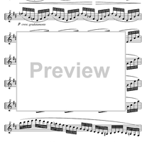 Capriccio No.21 b minor