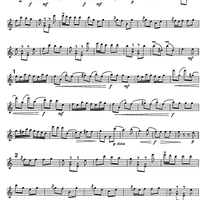 Im Krapfenwaldl Op.336 - Violin 1