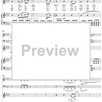 Twenty five Irische Lieder