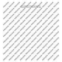 ...bis die Schatten der Nacht verdämmern - Score and Parts