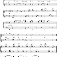 13. Vöglein durch-rauscht die Luft