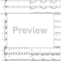 "Dite almeno in che mancai?" K479 - Full Score