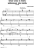 What Child Is This? / Ukrainian Bell Carol