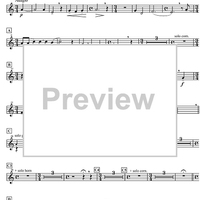 Concertpiece - B-flat Cornet 3