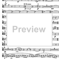 Concertino giocoso Op. 12 - Viola