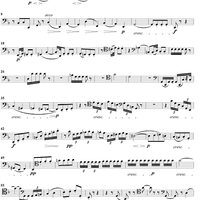 String Quartet No. 16 in F Major, Op. 135 - Cello
