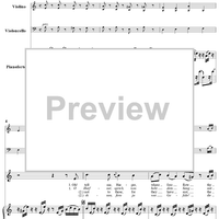 Twenty five Irische Lieder