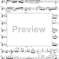 Violin Concerto No. 1 - Violin