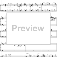 Concert Fantasy. Part 2. Contrastes