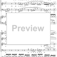 Mass No. 13 in B-flat Major: No. 5, Benedictus