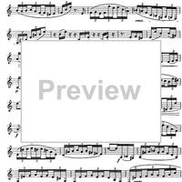 The Accomplished Clarinettist Vol. 1 - Clarinet