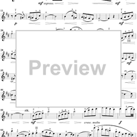 Prelude in B Minor - Violin