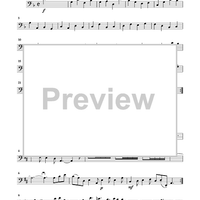 The Royal Fireworks Music - Cello