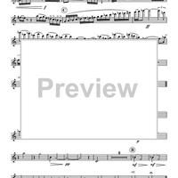 The Frog and the Golden Ball - Flute