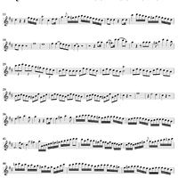 Sonata No. 1 in D major - Flute