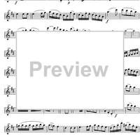 Quartet D Major KV285 - Flute