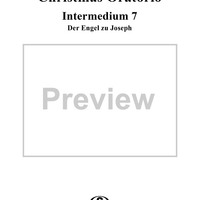 Christmas Oratorio: Intermedium VII - Der Engel (Sopran) "Stehe auf, Joseph"