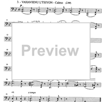 Maghen David - Bassoons