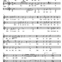 Vaghi crin del mio sole