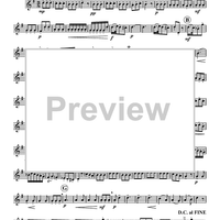 Concerto in Sol - Flute