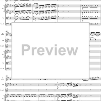 Flute Concerto No. 1 in G Major K285c (K313) - Full Score