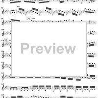 The Four Seasons, No. 4: Winter - Solo Violin