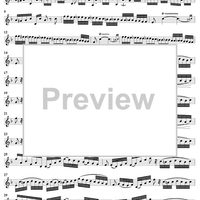 Fantaisie and Variations on The Carnival of Venice - Cornet