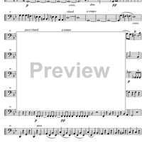 String Quintet G Major Op.33 - Cello