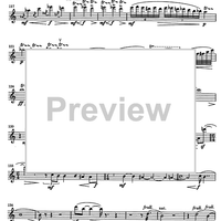 Impromptu No.25 Op.84 - Flute