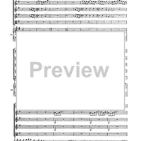 Double Concerto for Recorder and Flute in E minor - Score
