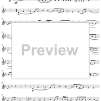 Springtime Festival - Cornet 3