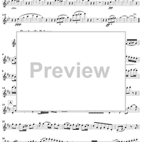 Grand Duo in D Major, Op. 39, No. 3 - Flute 1