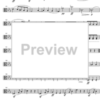 String Quintet c minor Op.104 - Viola 2