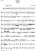The Four Seasons, No. 4: Winter - Violin 2