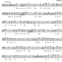 Tu es Petrus - Sextus (Baryton)