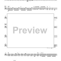 A Pirate's Legend - Double Bass