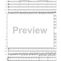 Violin Concerto in E Minor, Movement 1 - Full Score