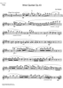 Quintet Op.43 - Flute