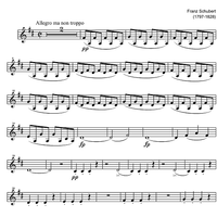String Quartet No. 6 D Major D74 - Violin 2