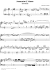 Sonata in G minor - K347/P294/L126