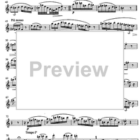 Divertimento concertante Op.63 - Clarinet in B-flat