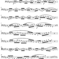 Concert Study No. 11