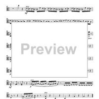 The Flight of the Bumblebee from the opera "Tsar Sultan" - Viola