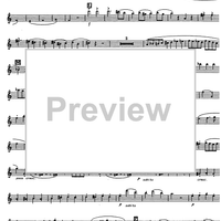 Ein Scherz-Trio - Flute