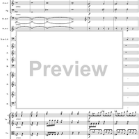 Mass in C Major, No. 6: Agnus Dei - Full Score