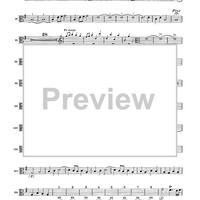Double Concerto for Recorder and Flute in E minor - Viola
