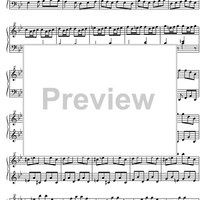 Concerto Bb Major BWV 982