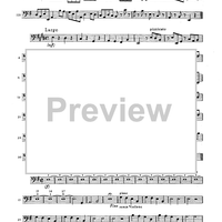 Double Concerto for Recorder and Flute in E minor - Basso Continuo